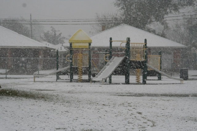2008 Snow3.jpg